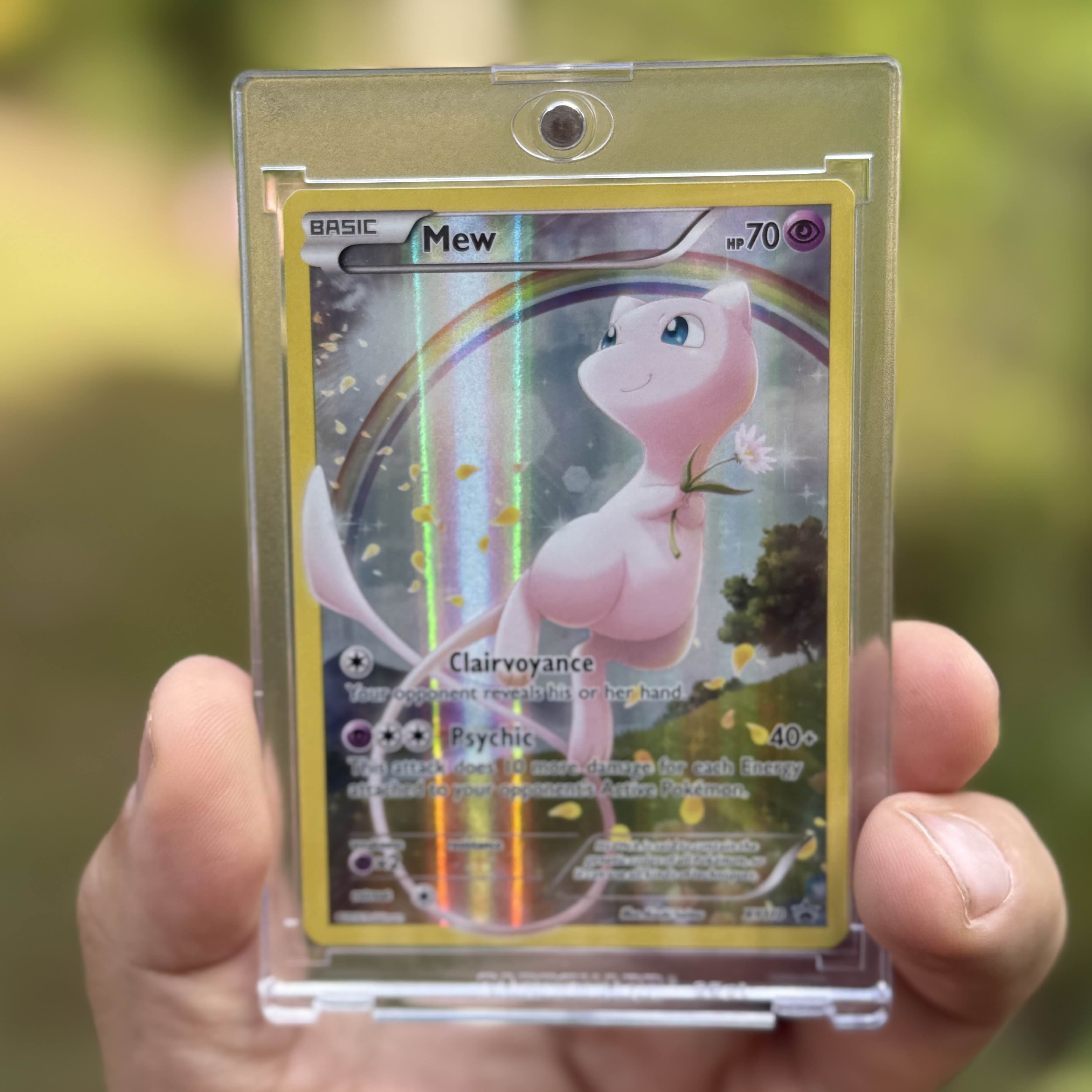 Collector review