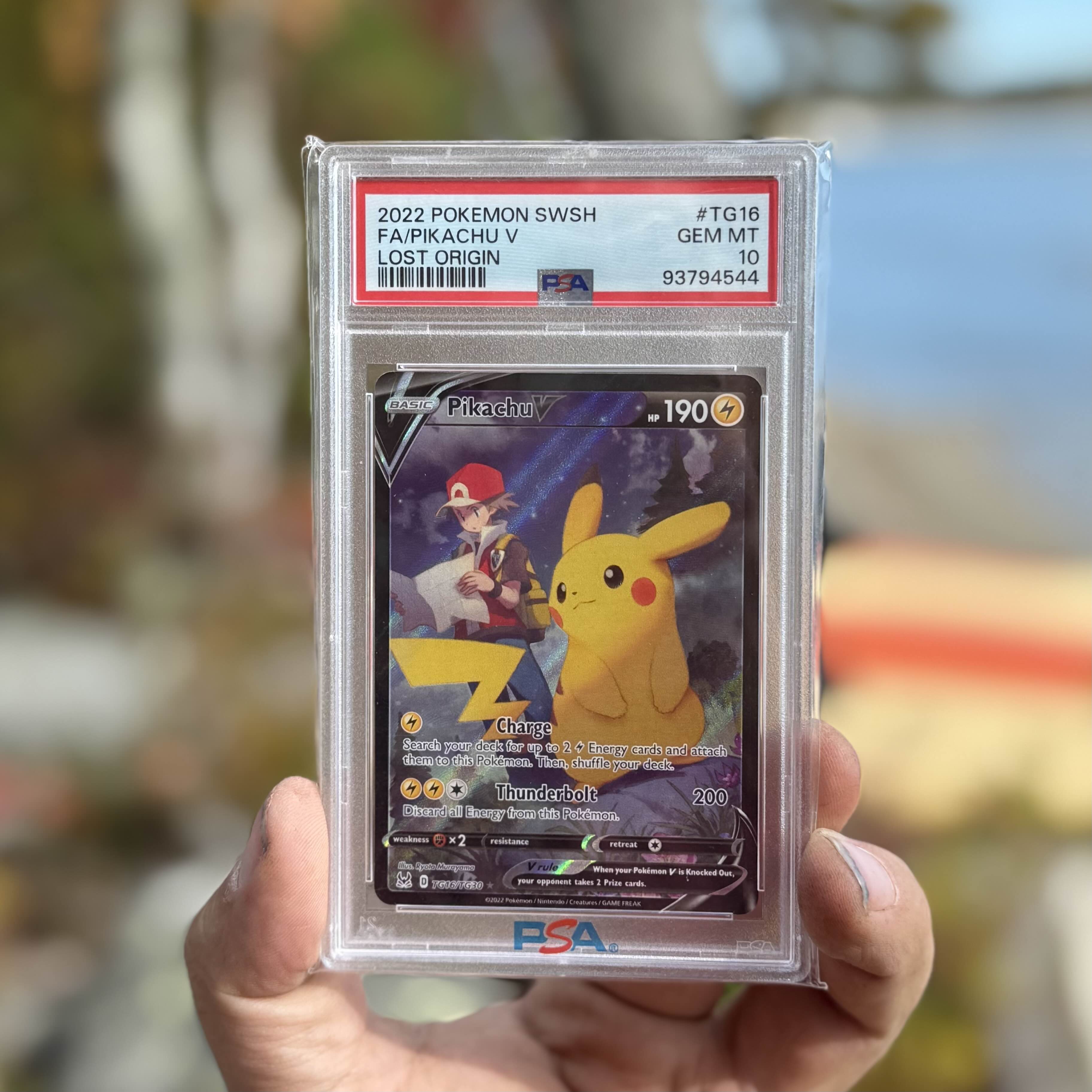 Collector review