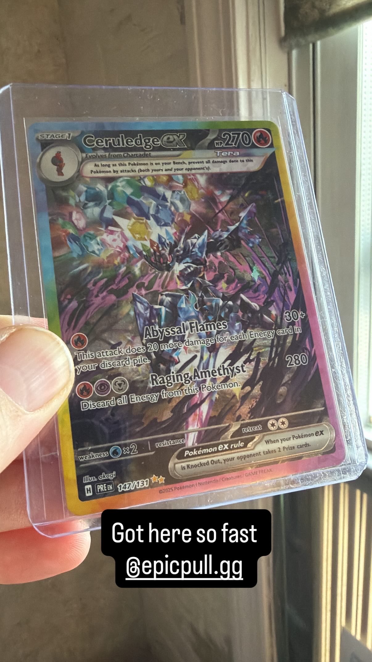 Collector review