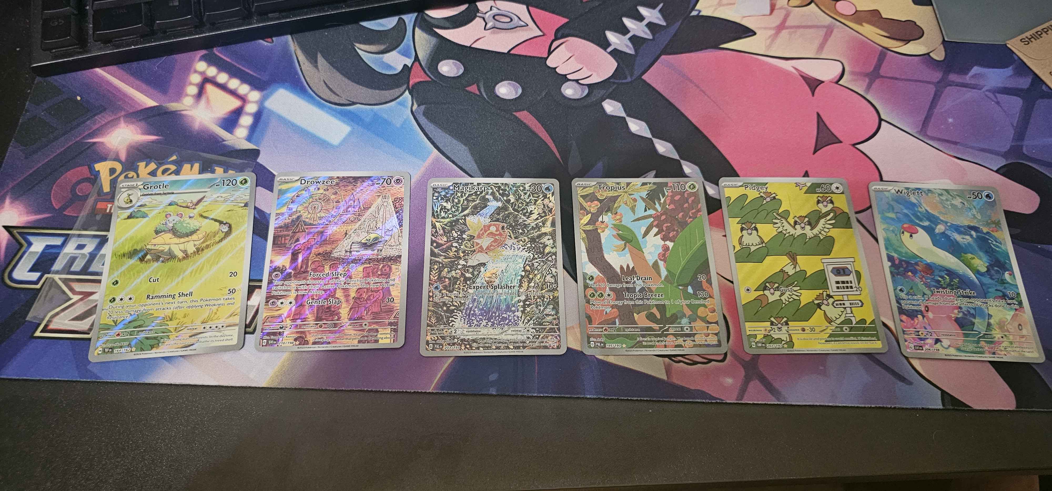 Collector review